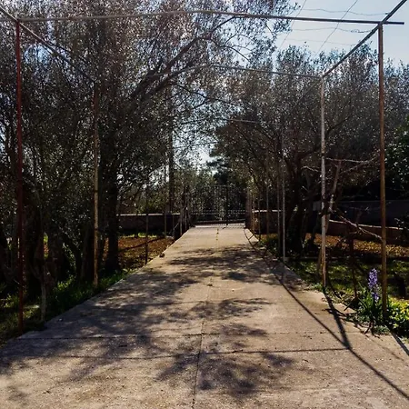 Hotel Vecchia Oliva Kukljica