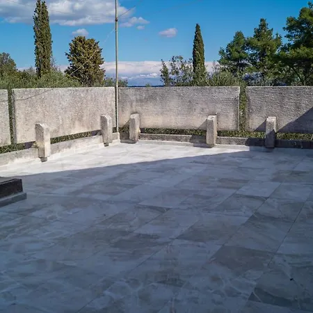 Vecchia Oliva *