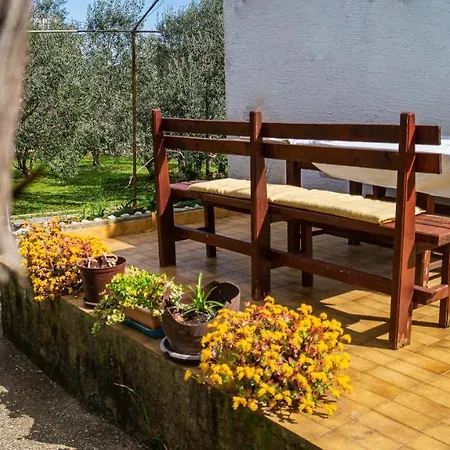 Vecchia Oliva *