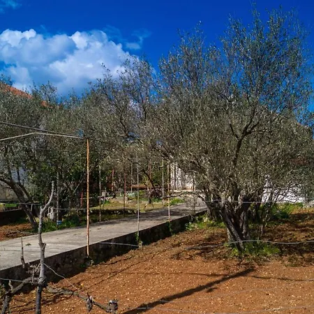 Vecchia Oliva Hotel