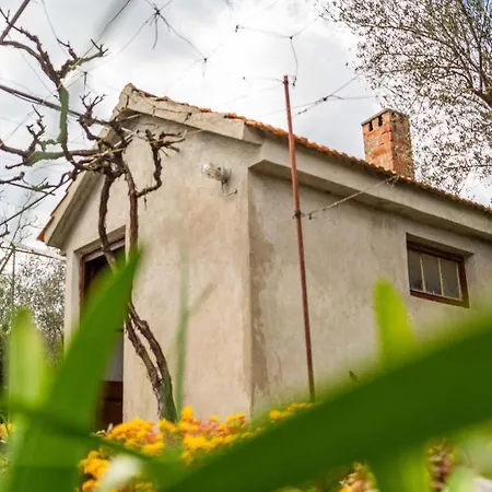 Vecchia Oliva Kukljica